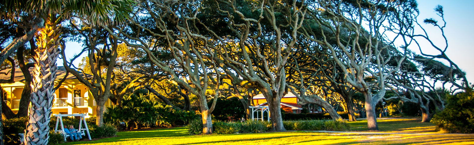 Tree Garden - Premiere Real Estate Group